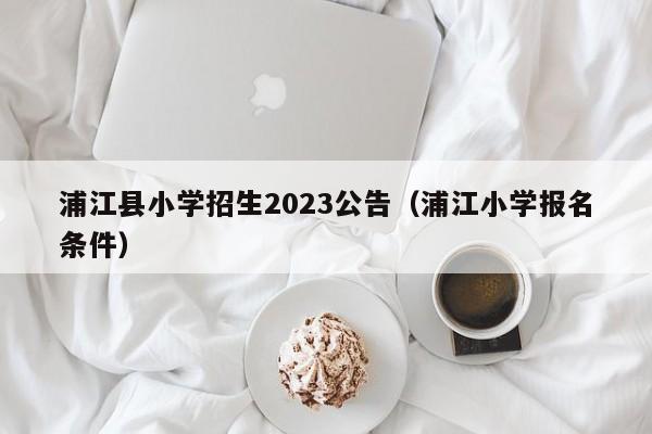 浦江县小学招生2023公告（浦江小学报名条件）