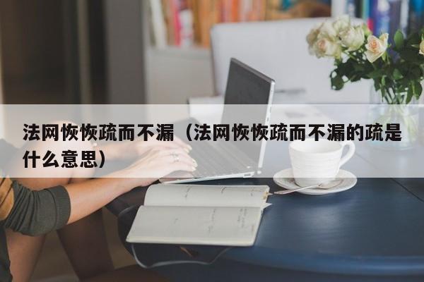 法网恢恢疏而不漏（法网恢恢疏而不漏的疏是什么意思）