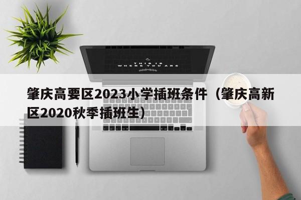 肇庆高要区2023小学插班条件（肇庆高新区2020秋季插班生）