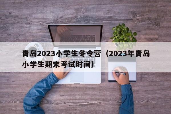 青岛2023小学生冬令营（2023年青岛小学生期末考试时间）