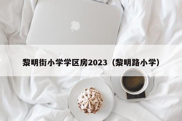 黎明街小学学区房2023（黎明路小学）