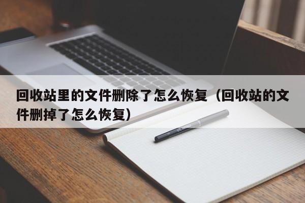 回收站里的文件删除了怎么恢复（回收站的文件删掉了怎么恢复）