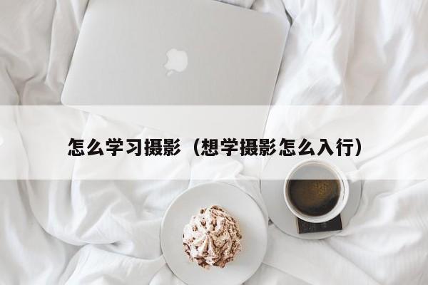 怎么学习摄影（想学摄影怎么入行）