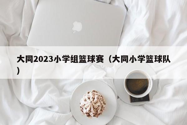 大同2023小学组篮球赛（大同小学篮球队）