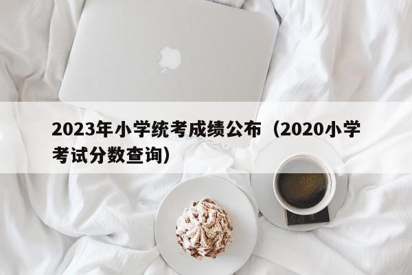 2023年小学统考成绩公布（2020小学考试分数查询）