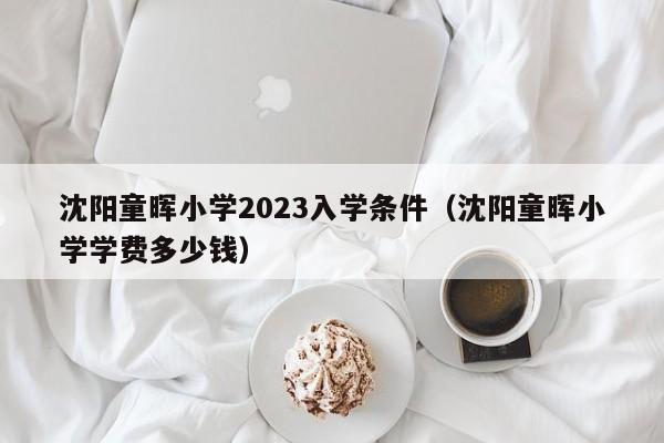 沈阳童晖小学2023入学条件（沈阳童晖小学学费多少钱）