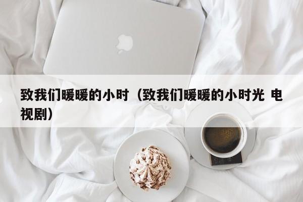 致我们暖暖的小时（致我们暖暖的小时光 电视剧）