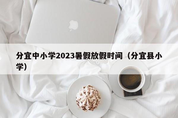 分宜中小学2023暑假放假时间（分宜县小学）