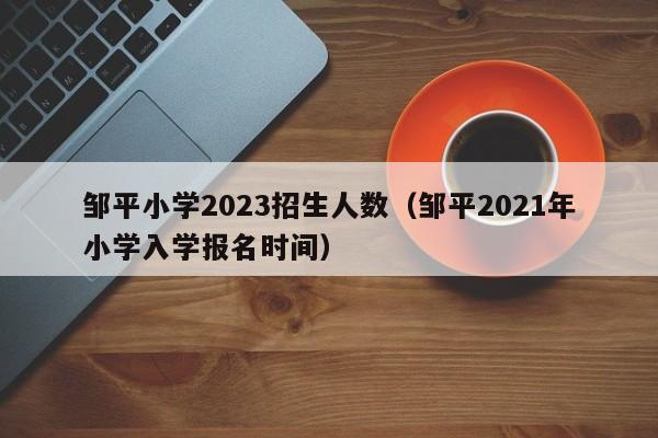 邹平小学2023招生人数（邹平2021年小学入学报名时间）