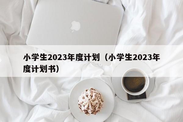 小学生2023年度计划（小学生2023年度计划书）