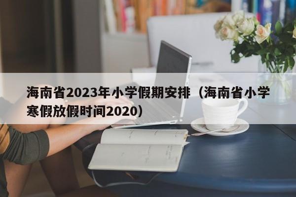 海南省2023年小学假期安排（海南省小学寒假放假时间2020）