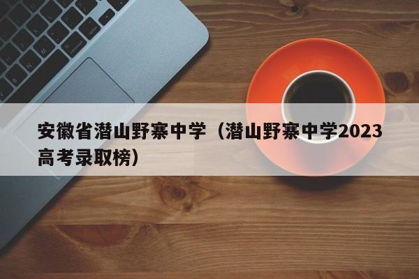 安徽省潜山野寨中学（潜山野寨中学2023高考录取榜）