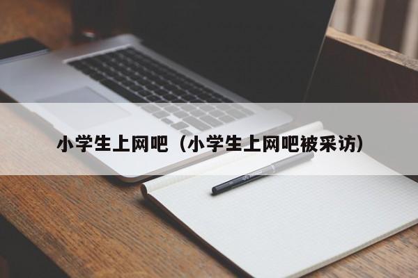 小学生上网吧（小学生上网吧被采访）