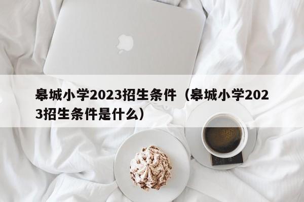 皋城小学2023招生条件（皋城小学2023招生条件是什么）