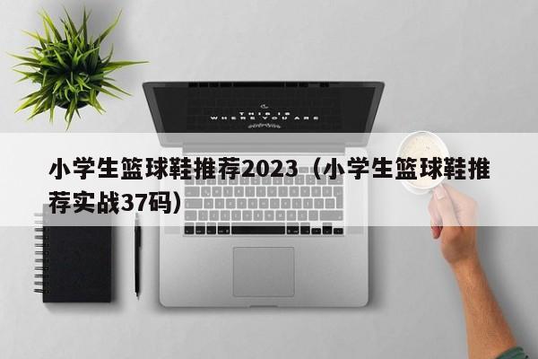 小学生篮球鞋推荐2023（小学生篮球鞋推荐实战37码）