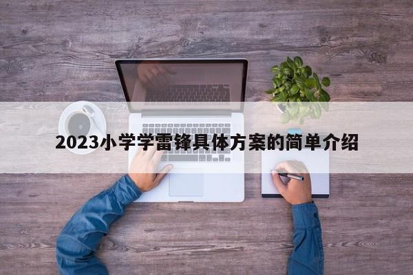 2023小学学雷锋具体方案的简单介绍