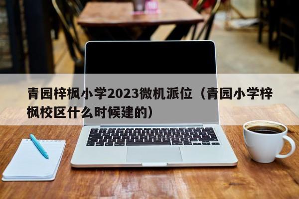 青园梓枫小学2023微机派位（青园小学梓枫校区什么时候建的）