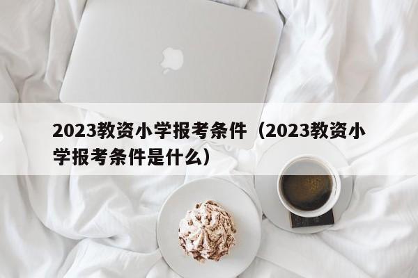 2023教资小学报考条件（2023教资小学报考条件是什么）