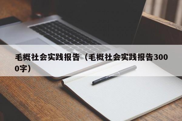 毛概社会实践报告（毛概社会实践报告3000字）