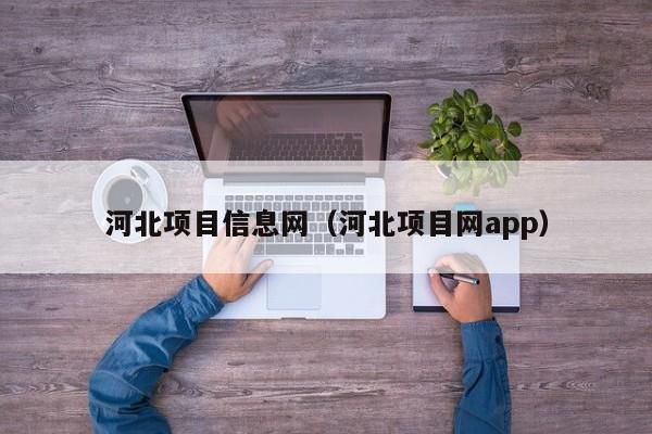 河北项目信息网（河北项目网app）