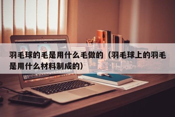 羽毛球的毛是用什么毛做的（羽毛球上的羽毛是用什么材料制成的）