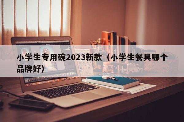 小学生专用碗2023新款（小学生餐具哪个品牌好）