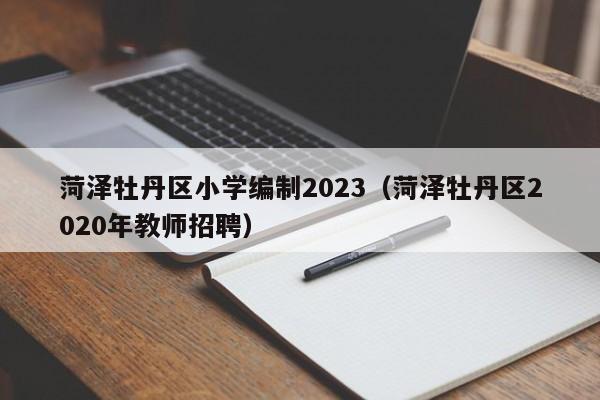 菏泽牡丹区小学编制2023（菏泽牡丹区2020年教师招聘）