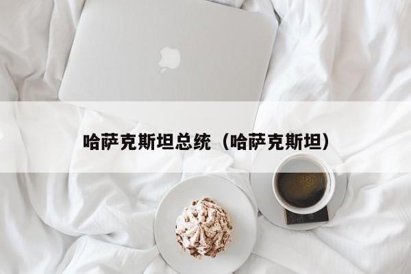 哈萨克斯坦总统（哈萨克斯坦）