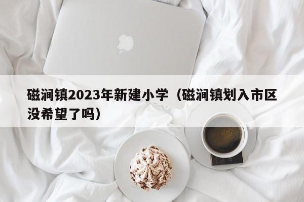 磁涧镇2023年新建小学（磁涧镇划入市区没希望了吗）