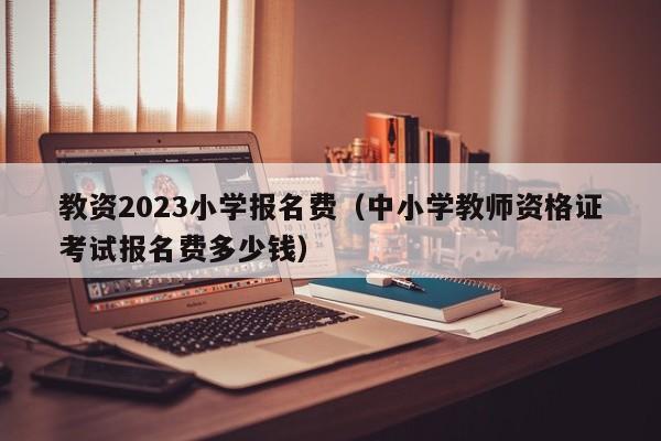 教资2023小学报名费（中小学教师资格证考试报名费多少钱）