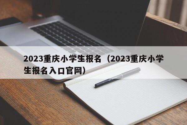 2023重庆小学生报名（2023重庆小学生报名入口官网）