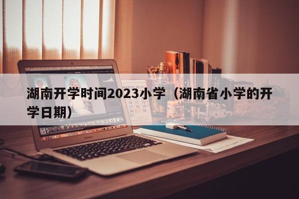 湖南开学时间2023小学（湖南省小学的开学日期）