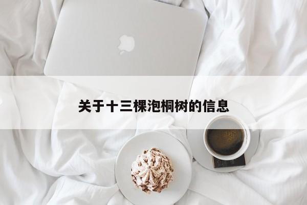 关于十三棵泡桐树的信息