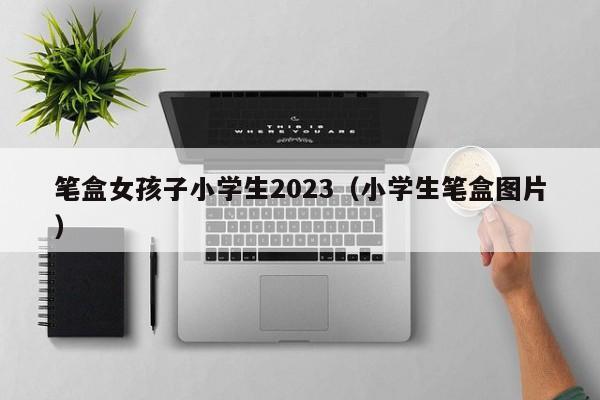 笔盒女孩子小学生2023（小学生笔盒图片）