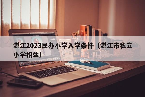 湛江2023民办小学入学条件（湛江市私立小学招生）