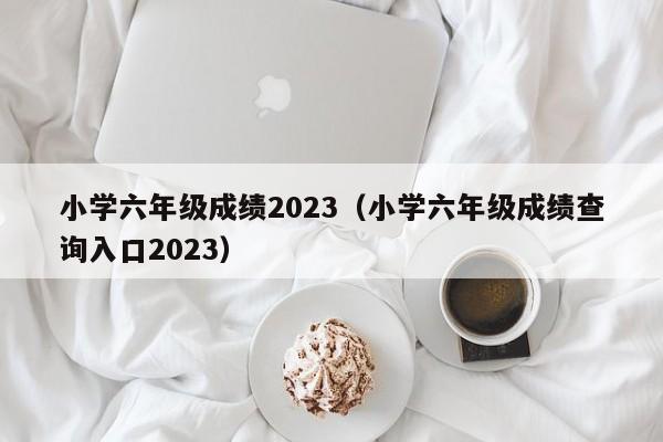 小学六年级成绩2023（小学六年级成绩查询入口2023）