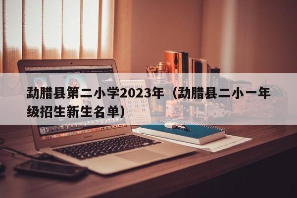 勐腊县第二小学2023年（勐腊县二小一年级招生新生名单）