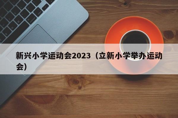 新兴小学运动会2023（立新小学举办运动会）