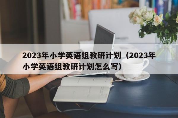 2023年小学英语组教研计划（2023年小学英语组教研计划怎么写）