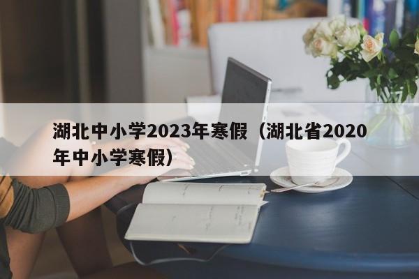 湖北中小学2023年寒假（湖北省2020年中小学寒假）