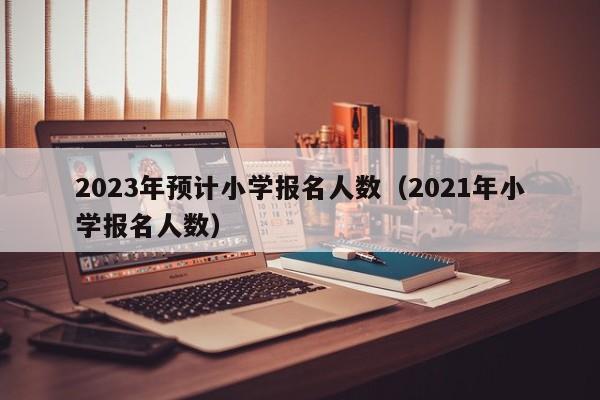 2023年预计小学报名人数（2021年小学报名人数）