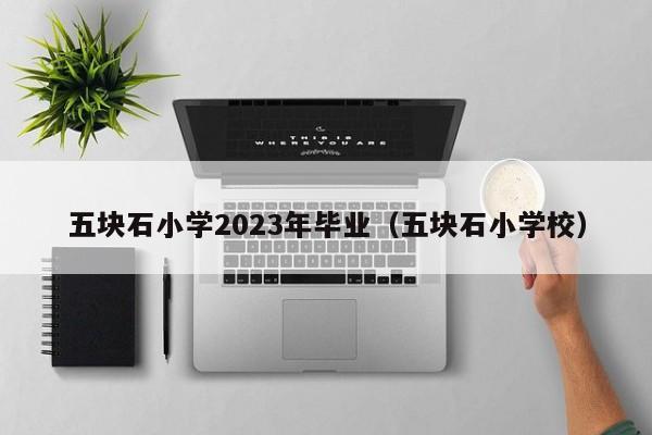 五块石小学2023年毕业（五块石小学校）