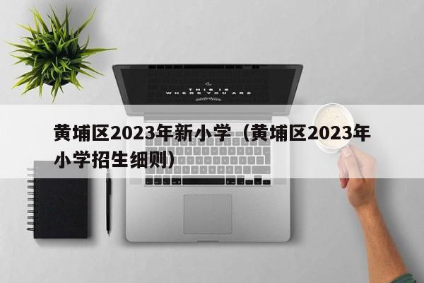 黄埔区2023年新小学（黄埔区2023年小学招生细则）