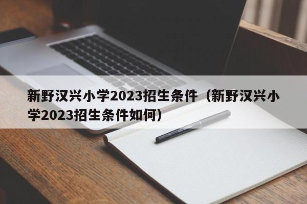 新野汉兴小学2023招生条件（新野汉兴小学2023招生条件如何）