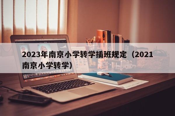 2023年南京小学转学插班规定（2021南京小学转学）