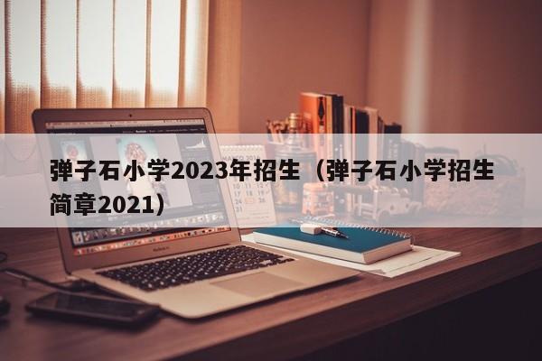 弹子石小学2023年招生（弹子石小学招生简章2021）