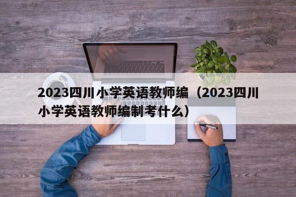 2023四川小学英语教师编（2023四川小学英语教师编制考什么）