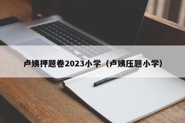 卢姨押题卷2023小学（卢姨压题小学）