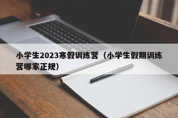 小学生2023寒假训练营（小学生假期训练营哪家正规）