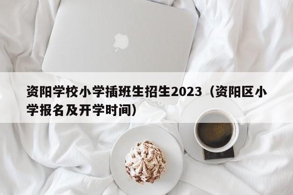 资阳学校小学插班生招生2023（资阳区小学报名及开学时间）